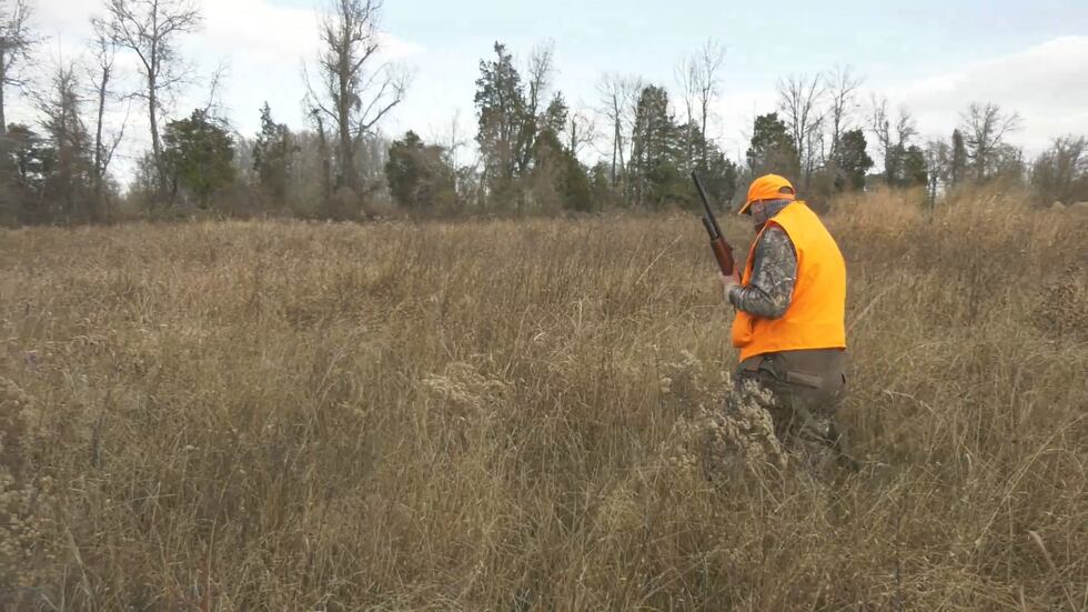 Gun Hunting Injuries Hunter safety tips emphasized after Greensville County accident