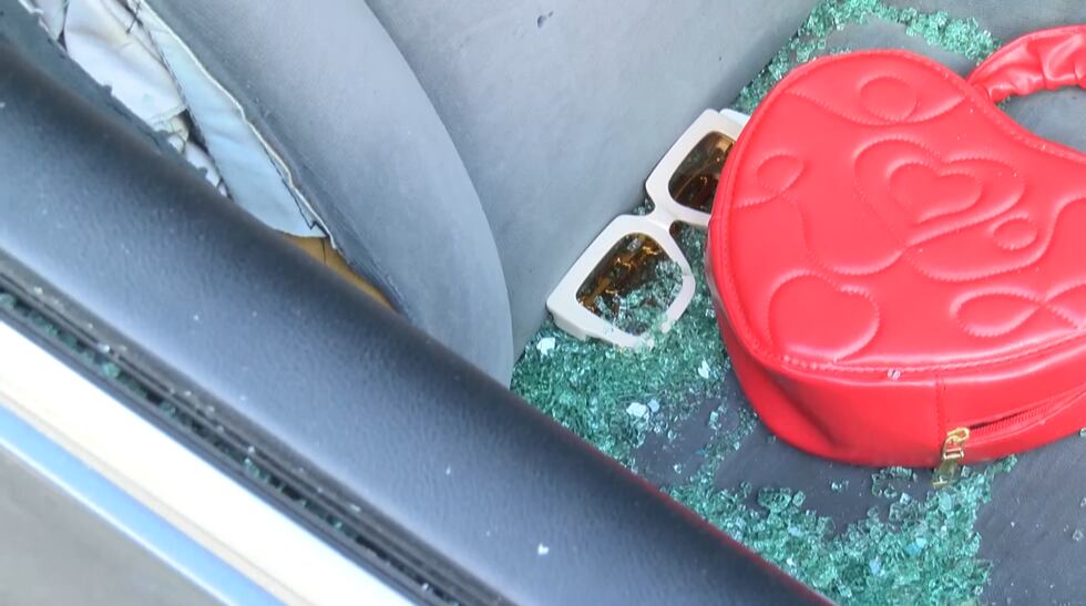 Car Break-Ins