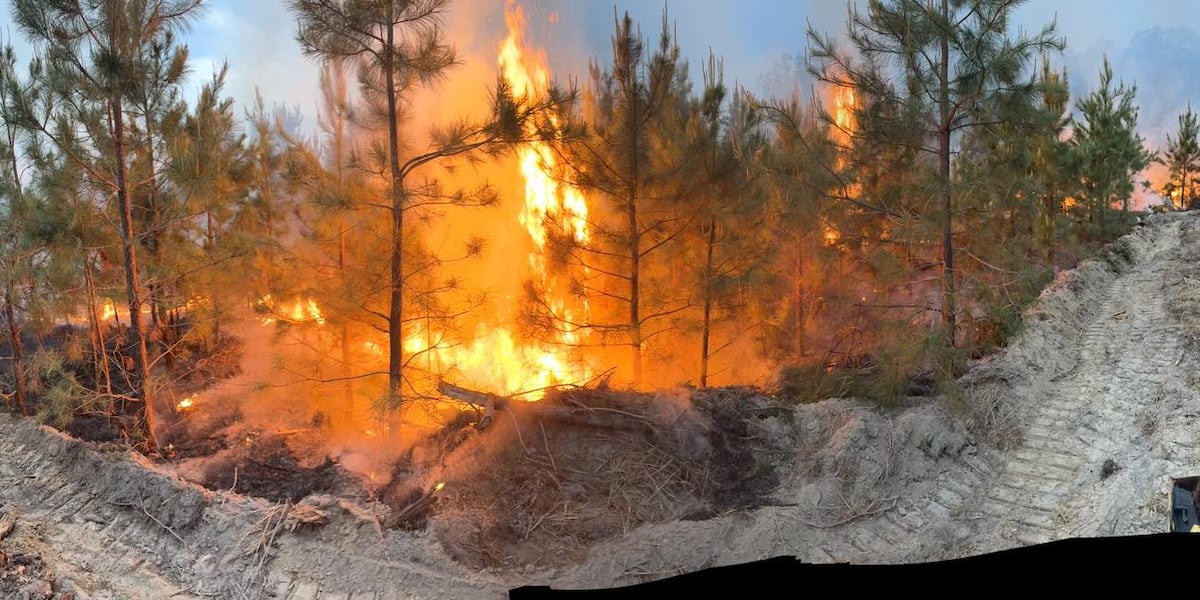 Chesterfield firefighters battle large brush fire along Moseley Road