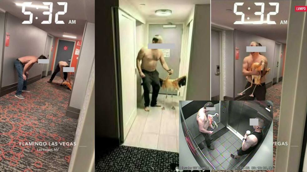 A man faces four counts of animal cruelty after Las Vegas police say he broke into a Flamingo...