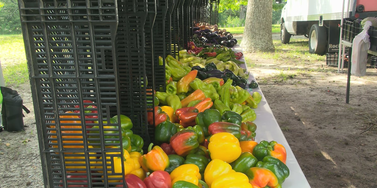 Cyclospora outbreak drives shoppers to farmers' markets Published : Aug. 13, 2026 at 3:35 AM CEST | Updated : moments ago