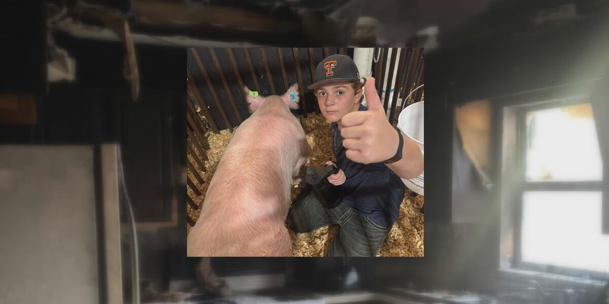 Hog From Send Help 12-year-old ‘future farmer’ sells hog he raised to help family rebuild ...