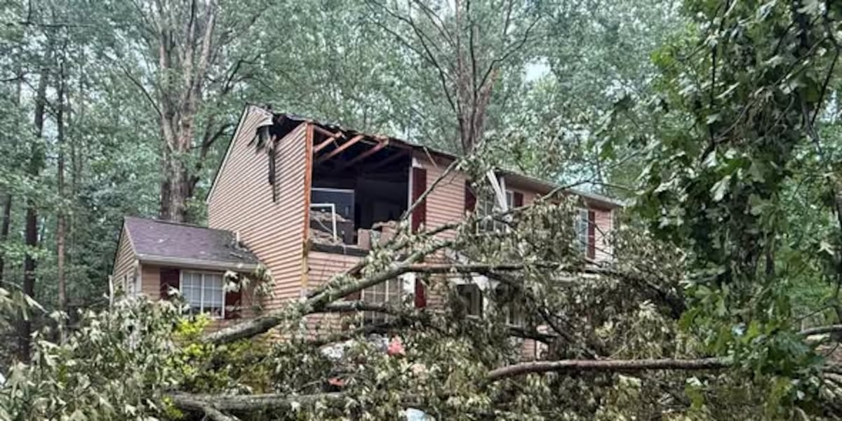 Tree collapses into Chesterfield home during storm Published : Aug. 11, 2026 at 1:46 AM GMT+2 | Updated : 6 minutes ago