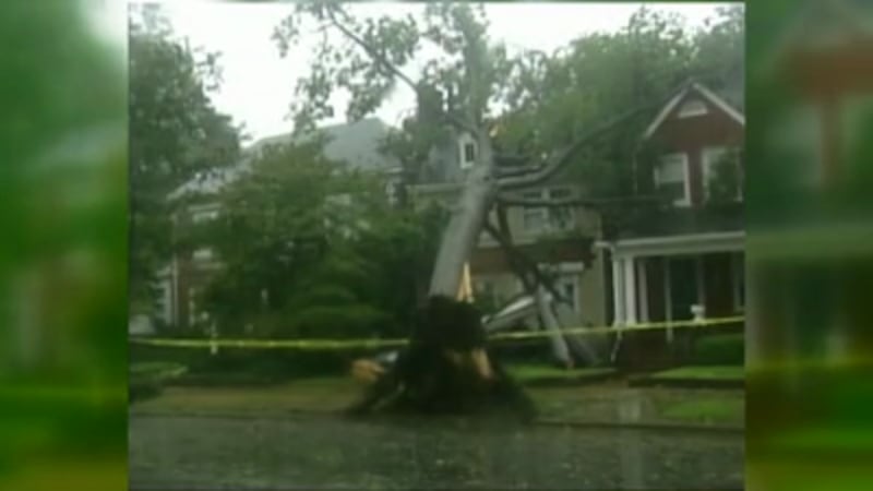 Hurricane Isabel packed winds of 73 mph in Richmond. (Source: NBC12)