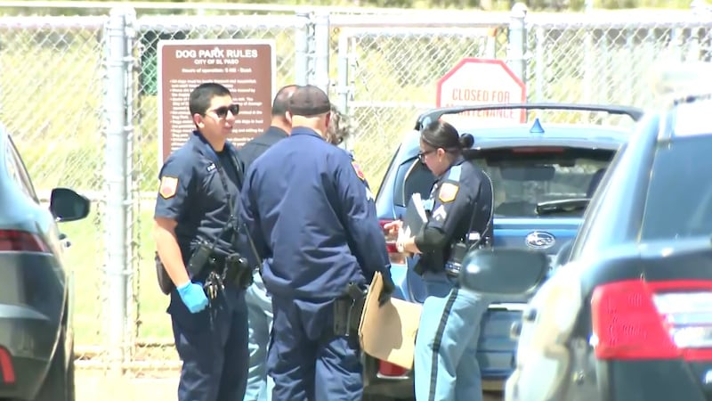 Police are investigating after a 77-year-old man allegedly shot and killed a dog that got into...
