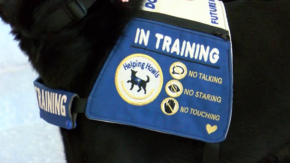 Service dogs and their handlers practiced moving through every part of the airport, from the...