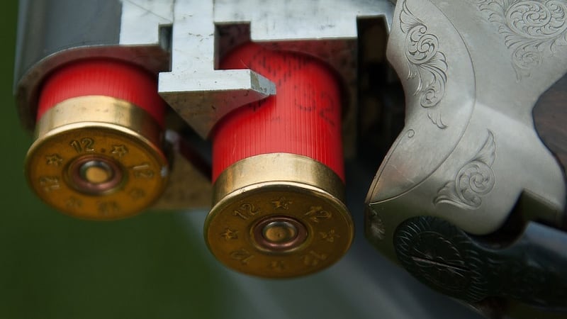 Nearly two-thirds of Virginia gun deaths are suicides, according to Virginia Department of...