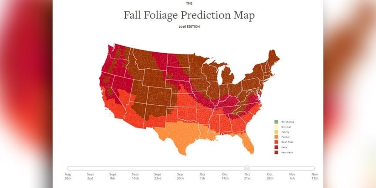Fall Tracking Chart This interactive map shows when you can expect to see fall foliage