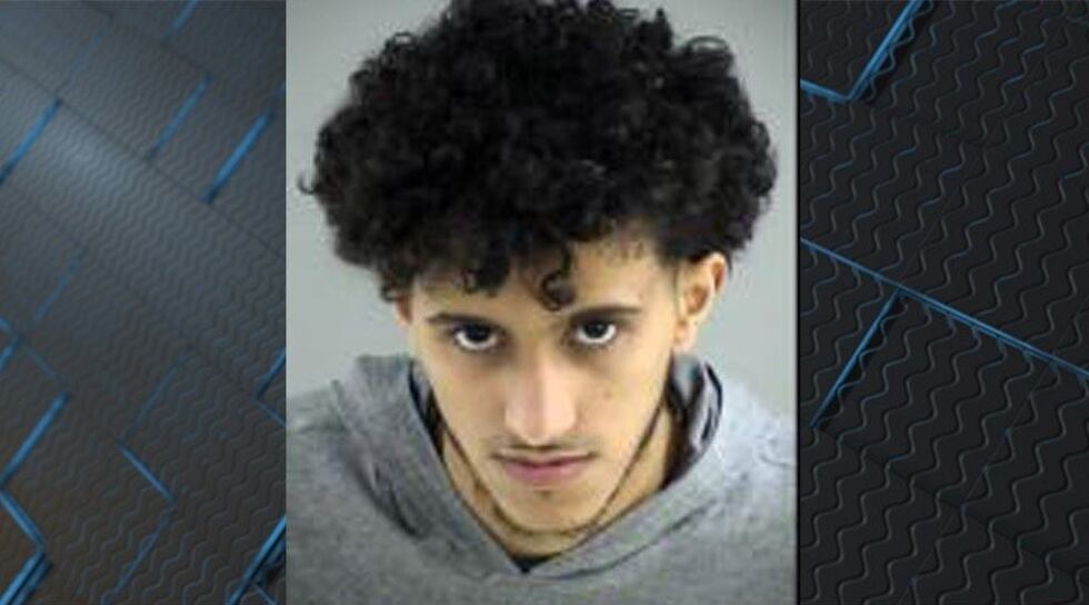 Waleed Nodraddin Almuwallad (Source: Henrico police)