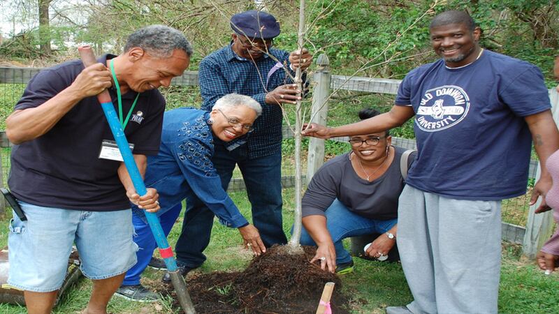 Branchs Baptist Church members plant an oak tree in the playground.