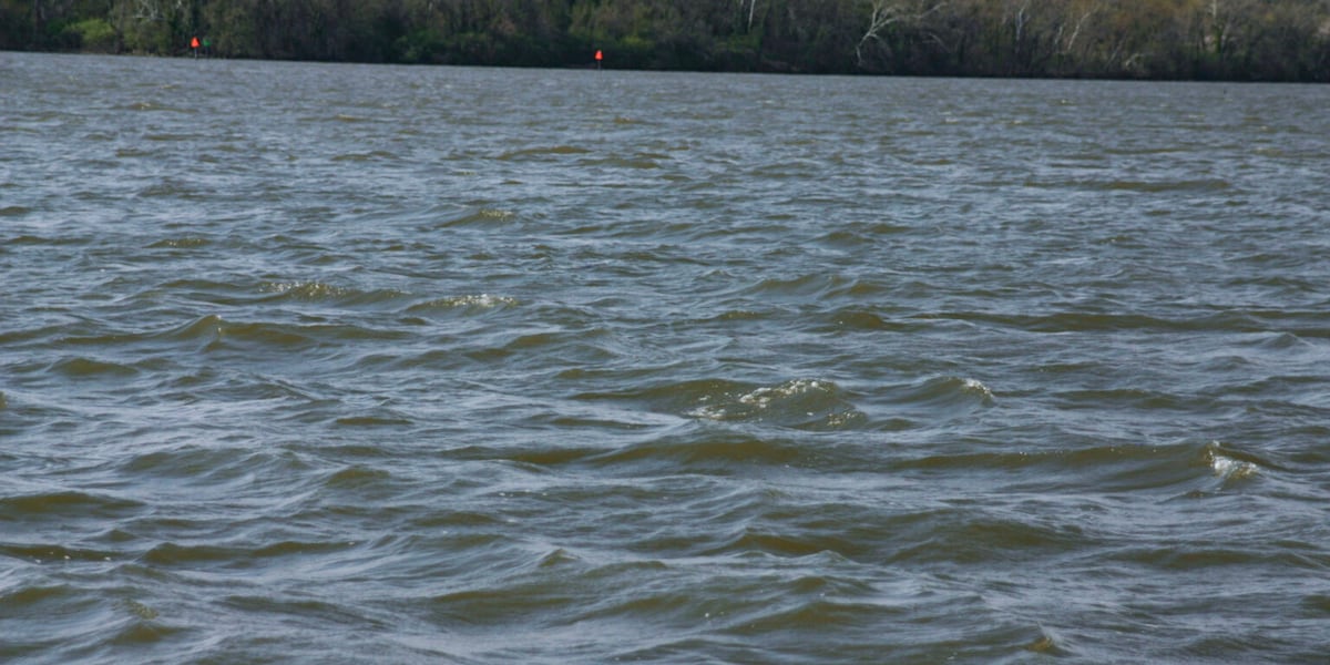 Virginia senators request special session to act on 'deeply alarming' groundwater report By Shannon Heckt Published : Jul. 31, 2026 at 8:19 PM GMT+2 | Updated : moments ago