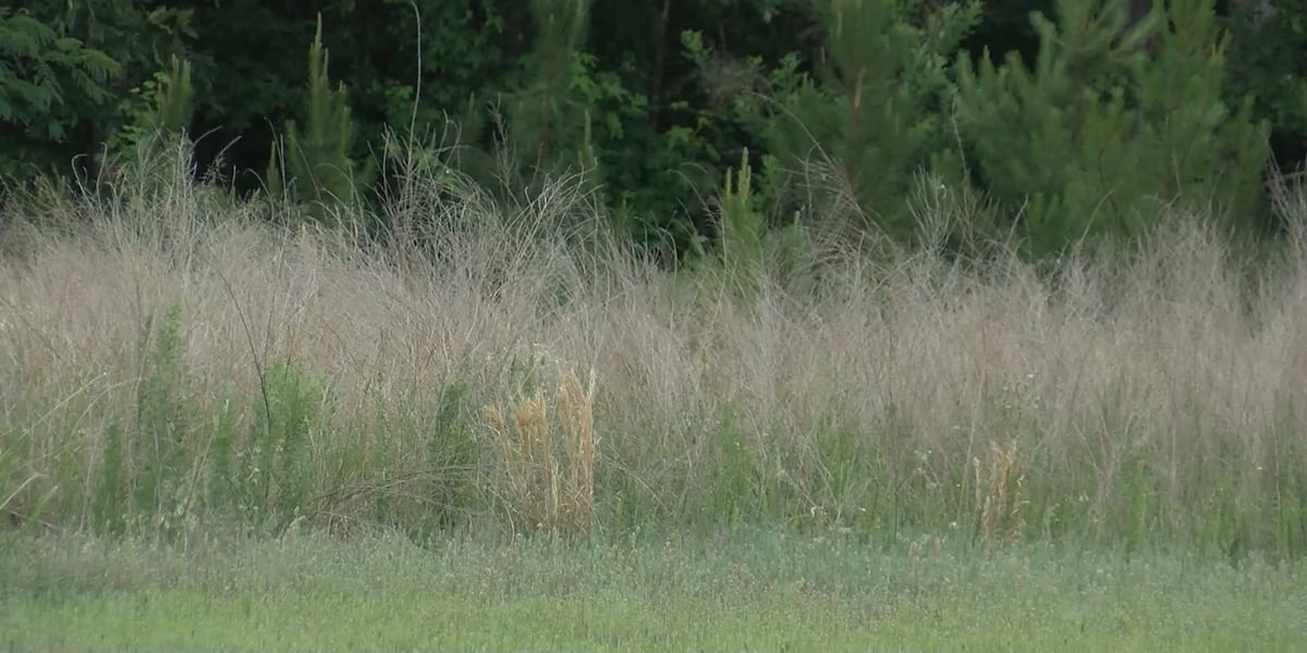 Extreme drought pushes Caroline County to level three water restrictions