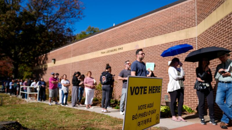 People wait in line before the polling place at Tysons-Pimmit Regional Library in Falls...