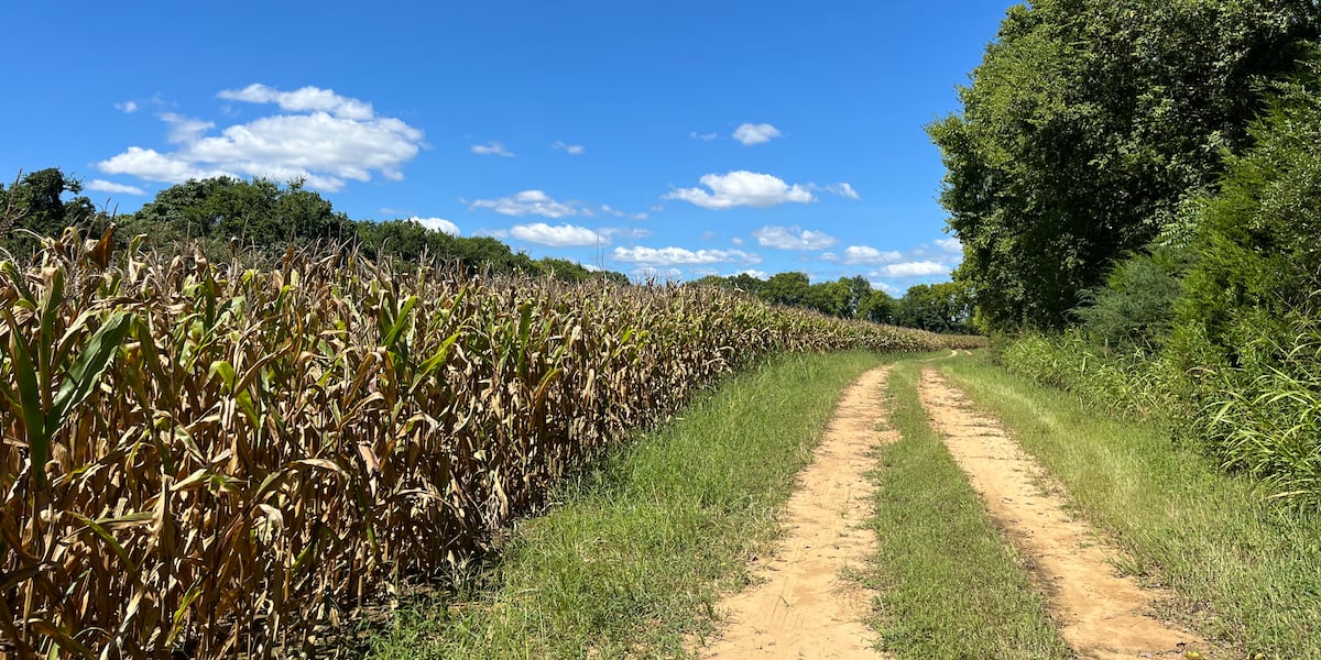 “Remember the little guy”: Kaine hears from Virginia farmers as Canada trade fight drives up concern By Shannon Heckt | Virginia Mercury Published : Aug. 25, 2026 at 5:27 PM CEST | Updated : 5 minutes ago