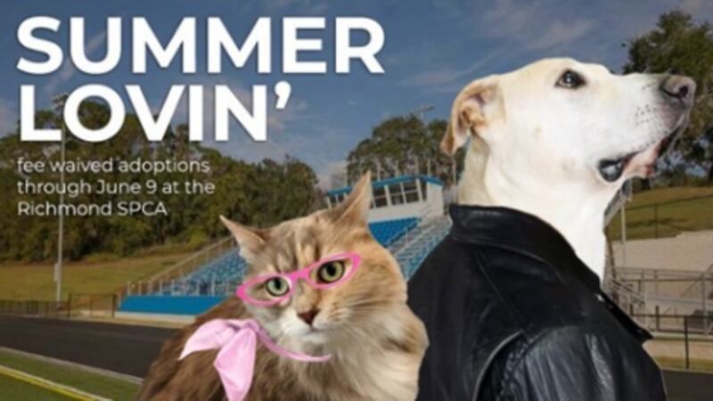 The Richmond SPCA is holding a ‘Summer Lovin'’ adoption special Wednesday, June 5, through...