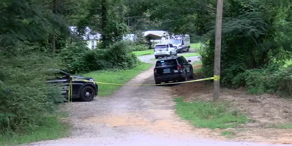 University of Alabama student, friend and dog all found killed in home where student was pet sitting, police say A University of Alabama student, her friend and a dog were found shot and killed at a home where the student was dog sitting. (Source: WBRC) Published : Jul. 7, 2026 at 11:27 PM GMT+2 | Updated : seconds ago