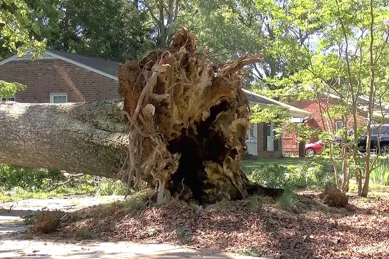 Severe storms rolled through Central Virginia on Sunday, June 14, knocking over trees and...