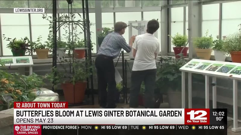 Here's how you can visit Butterflies Bloom at Lewis Ginter Botanical Garden