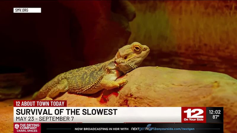 Survival of the Slowest: New exhibition at the Science Museum of Virginia runs through Sept. 7.