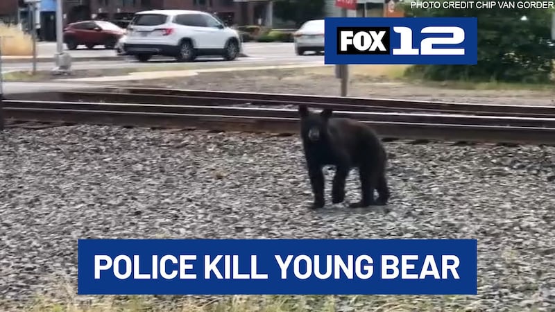 Canby police killed a bear Saturday afternoon near the Clackamas County Fairgrounds, sparking...