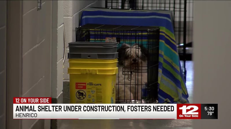 The Henrico Humane Society and Henrico Police Animal Shelter are seeking foster and adoptive...