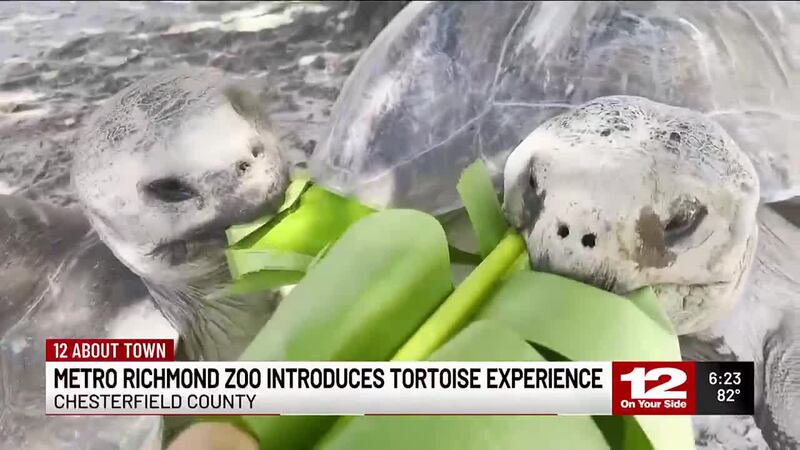 For $50 a person, the Metro Richmond Zoo is offering turtle-ly awesome 30 minute experiences...