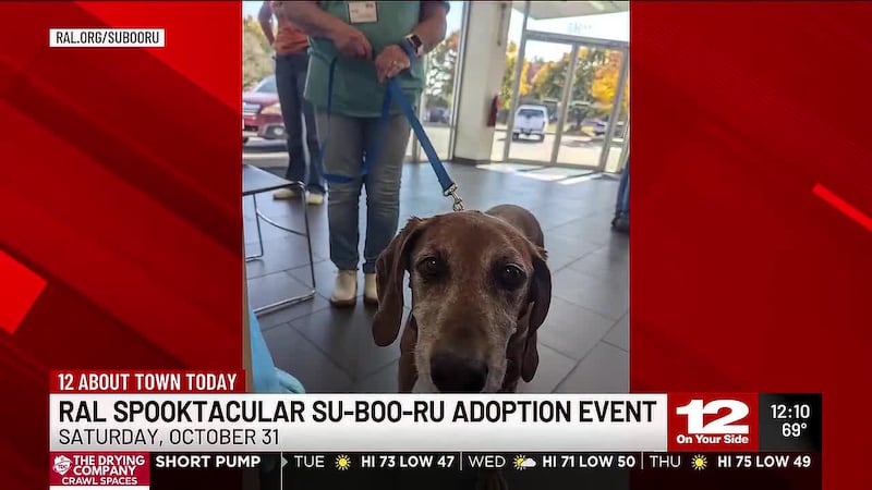 Richmond Animal League's Spooktacular Su-BOO-Ru Adoption Event returns October 31. The...