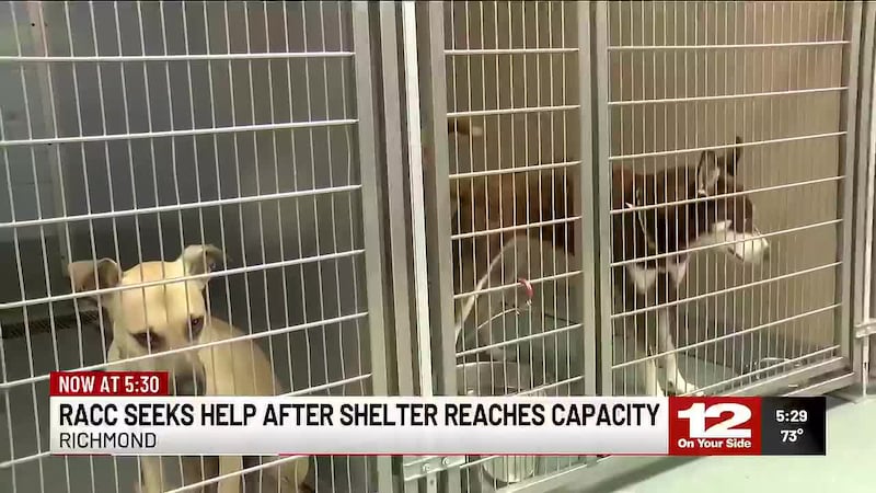 RACC in Richmond has no kennel open for the next dog. The shelter is asking owners to pick up...