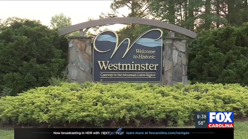 westminster whns